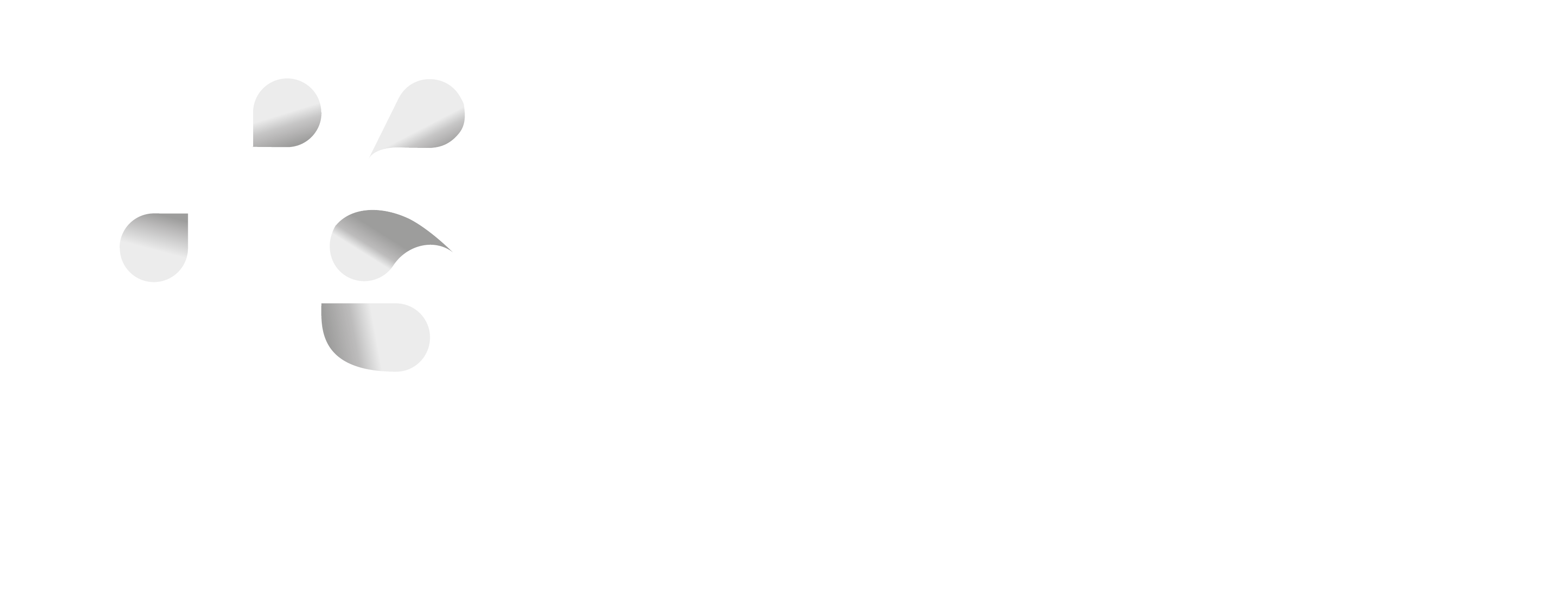 HEALTCARE LEADERSHIP ACADEMY